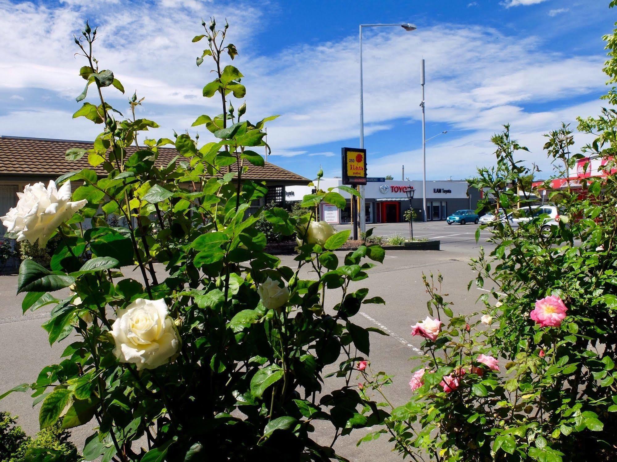 Ilam Motel Крайстчърч Екстериор снимка
